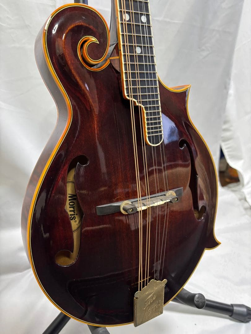 【レア】Morris MF-2000／フラットマンドリン