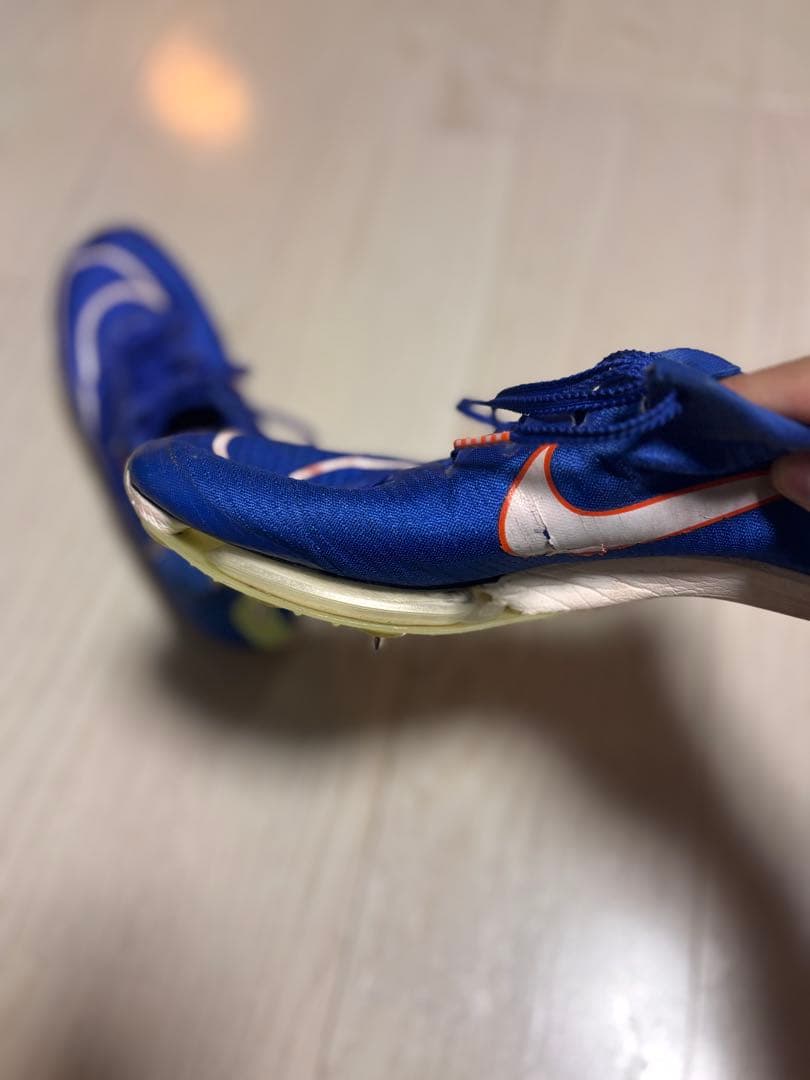 Nike マックスフライ1