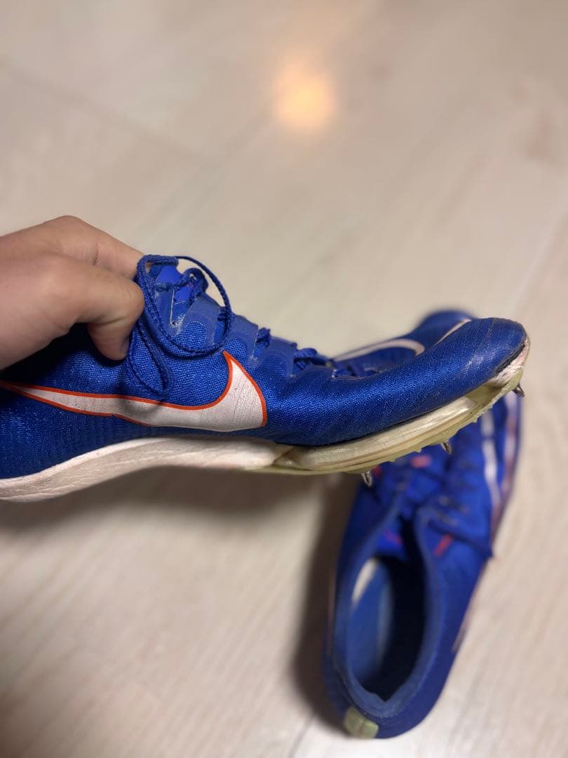 Nike マックスフライ1