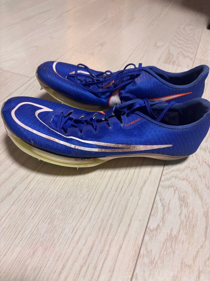 Nike マックスフライ1