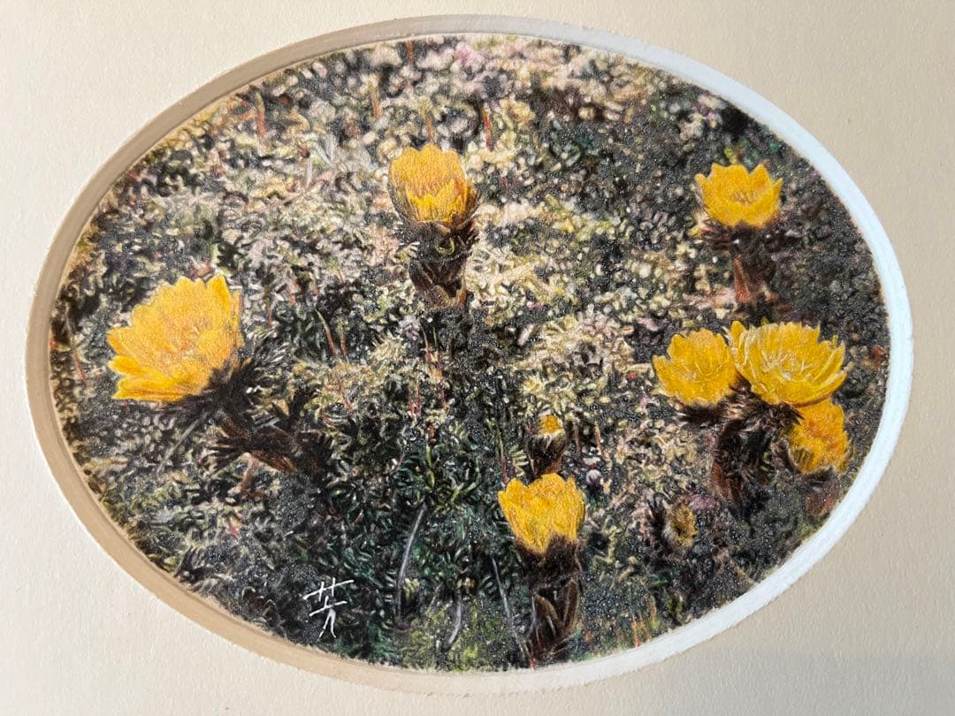 吉村芳生 鉛筆画 超絶技巧を超えて