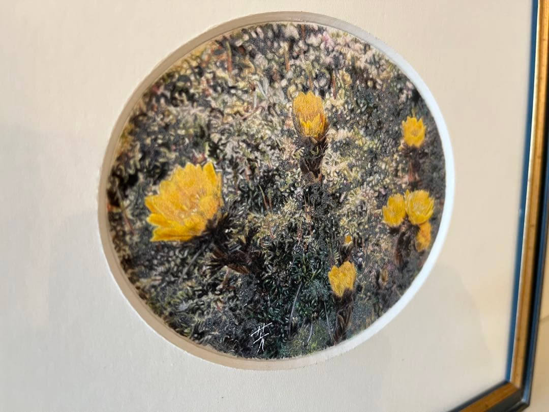 吉村芳生 鉛筆画 超絶技巧を超えて
