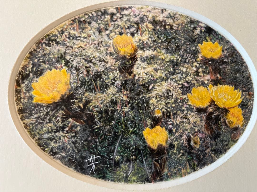 吉村芳生 鉛筆画 超絶技巧を超えて