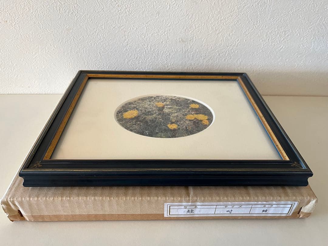 吉村芳生 鉛筆画 超絶技巧を超えて