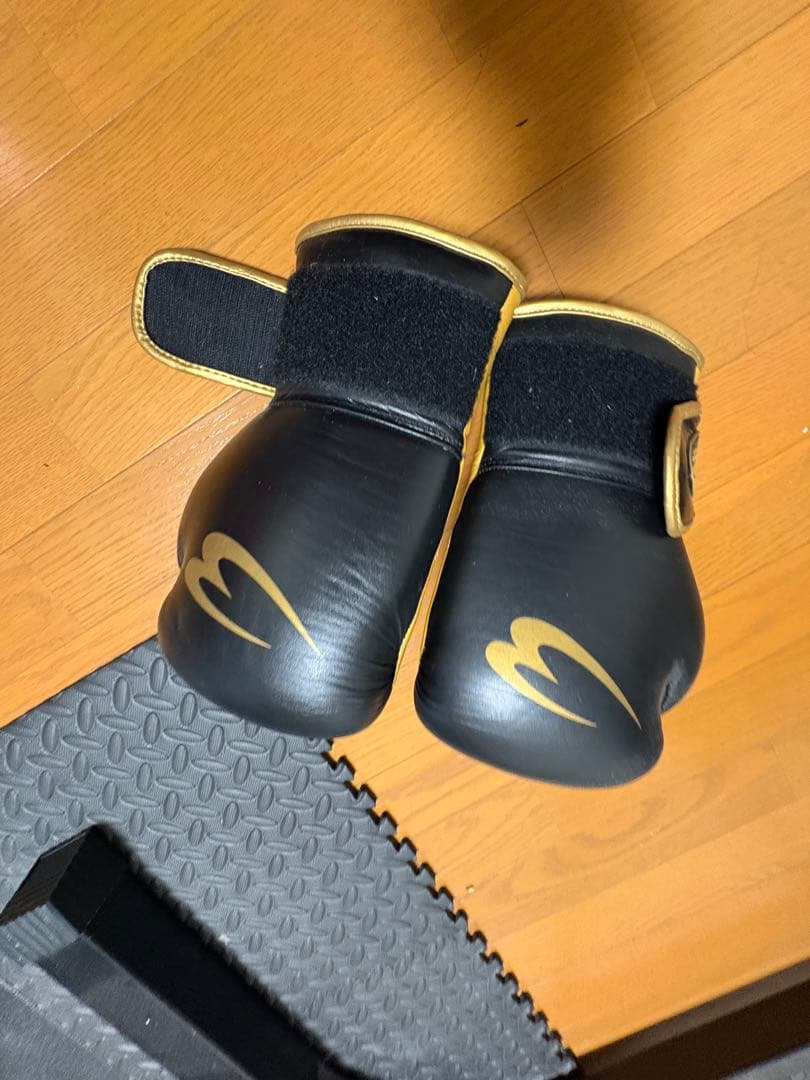 サンドバッグ、スタンド、グローブ、セット