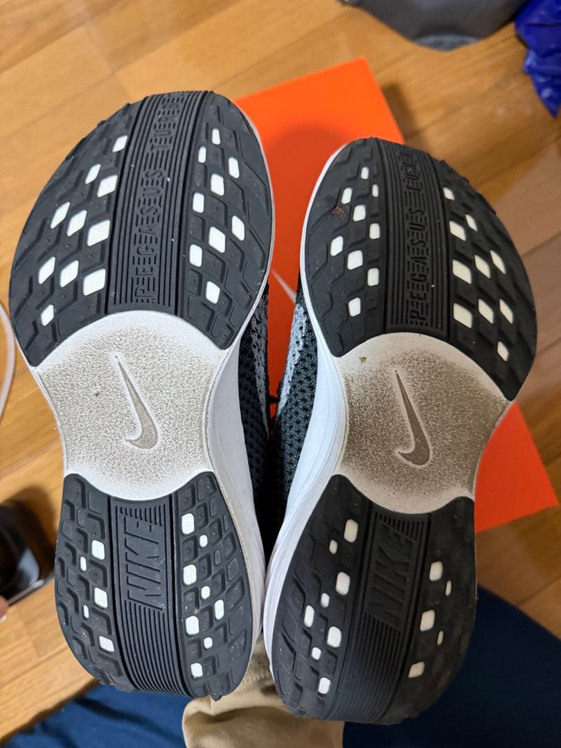 Nike ペガサスプラス　22.5センチ