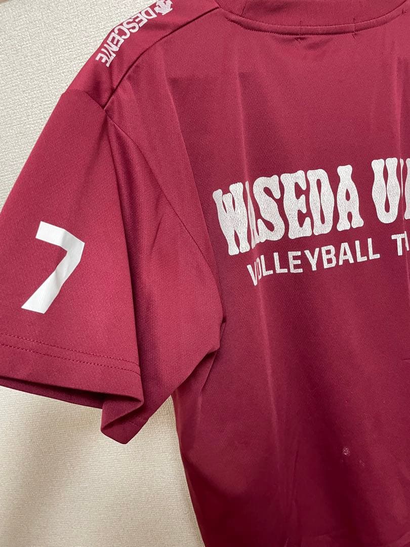 早稲田大学　バレーボール　Tシャツ