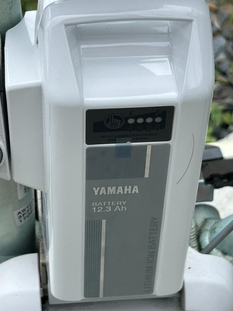 【引取限定／電動アシスト三輪車】ブリヂストン アシスタワゴン/バッテリー新品