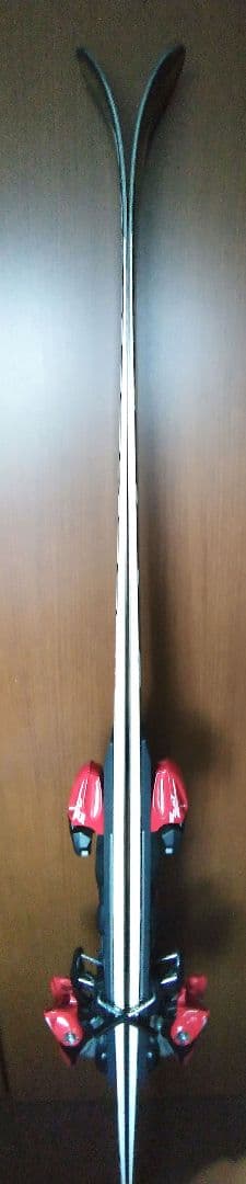 TRIUN OGASAKA スキー板 GS 190cm