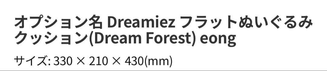 NCT DREAM マーク DREAMIEZ フラットぬいぐるみクッション