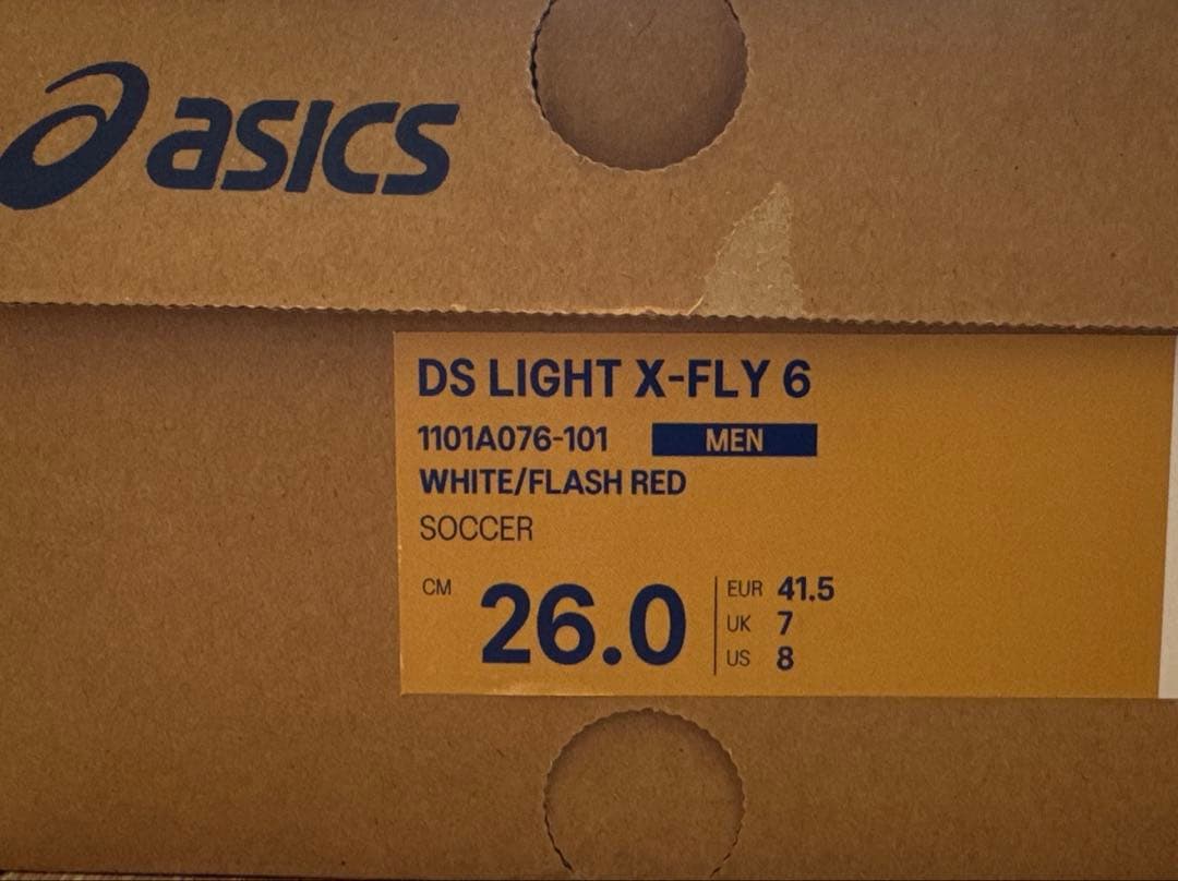 【極美品】アシックスDS LIGHT X-FLY 6 26.0cm