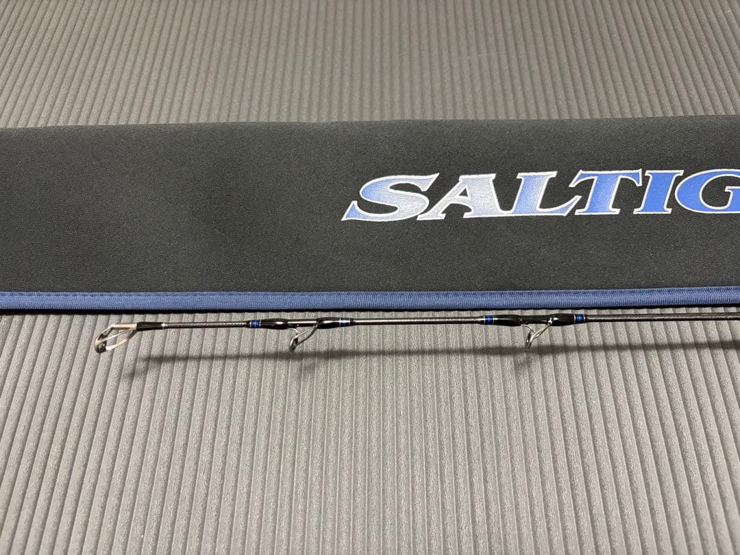 SALTIGA EBING 62HS オフショアロッド