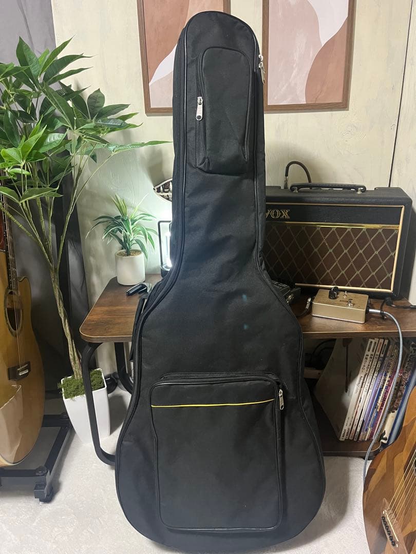 BugsGear OR-30PL アコースティックギター