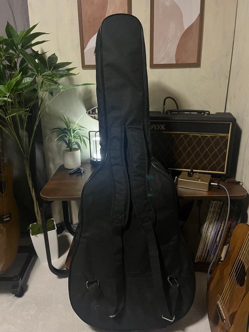 BugsGear OR-30PL アコースティックギター