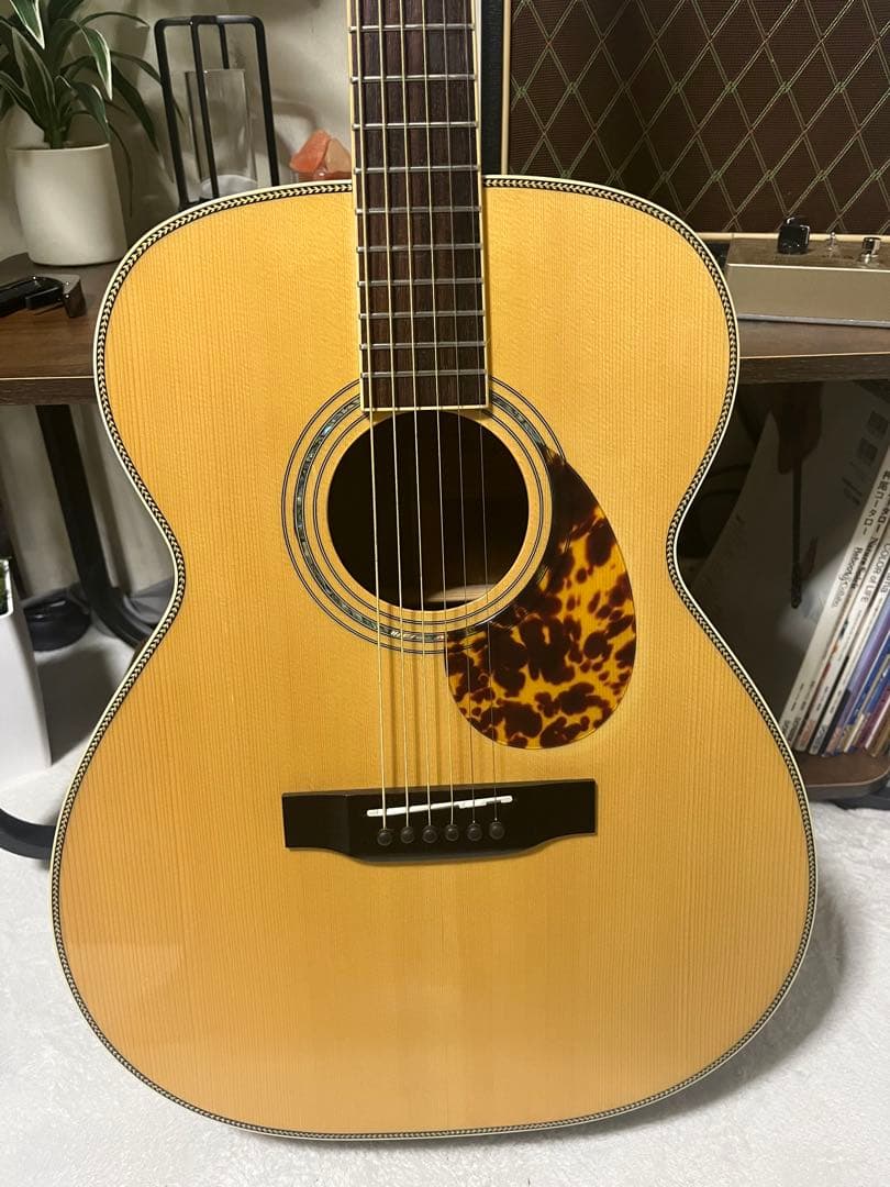 BugsGear OR-30PL アコースティックギター