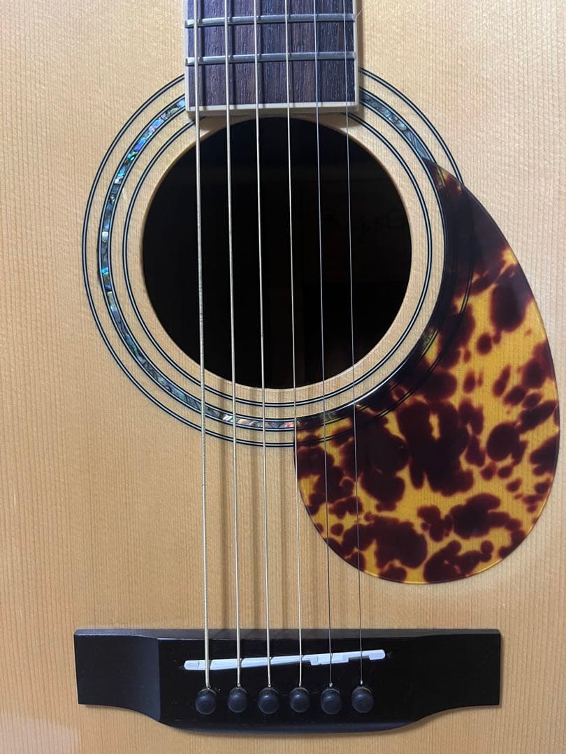 BugsGear OR-30PL アコースティックギター