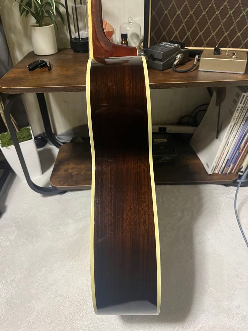 BugsGear OR-30PL アコースティックギター