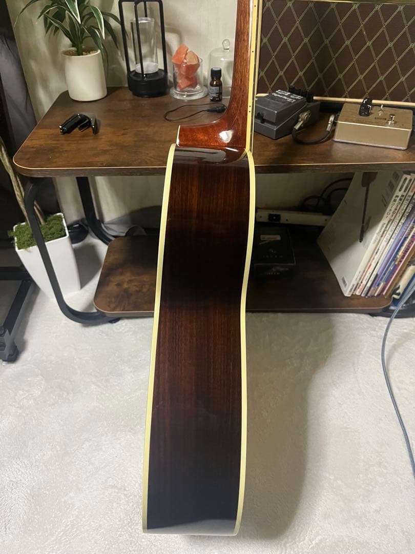 BugsGear OR-30PL アコースティックギター