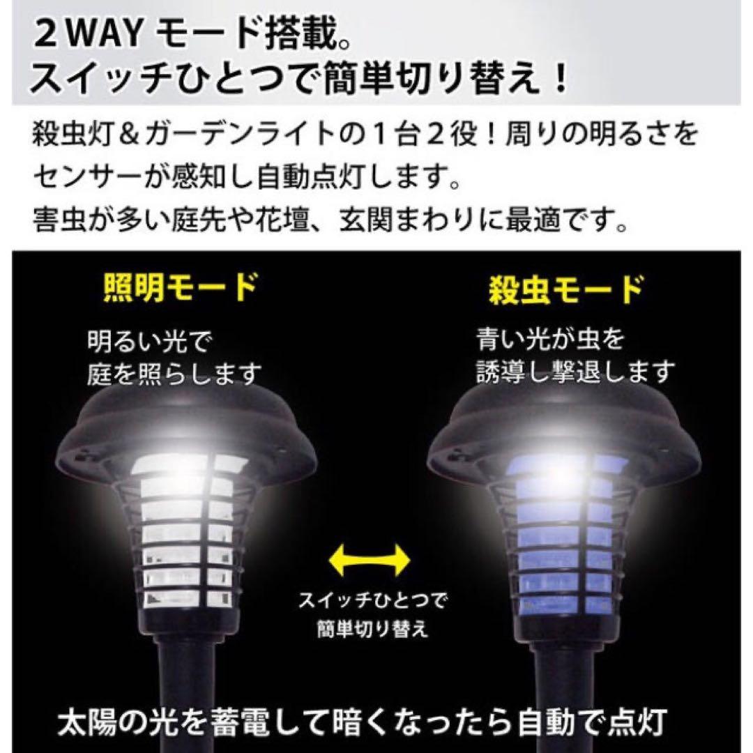 5個セット　専用ページ