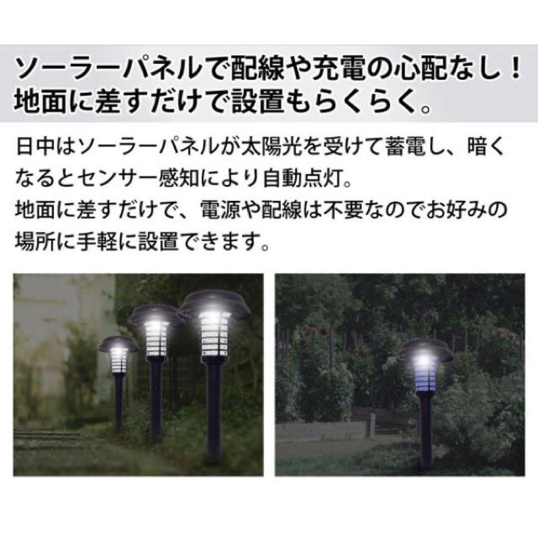 5個セット　専用ページ