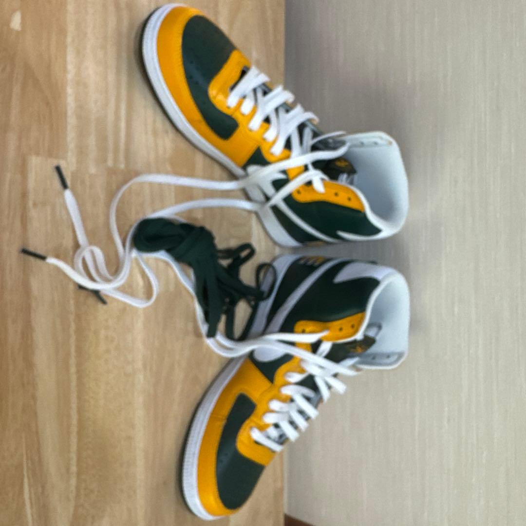 佐藤　ナイキ　NIKE TERMINATOR HIGH　28cm