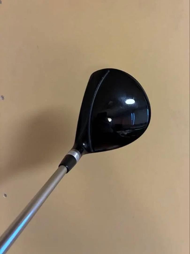 ロッディオ　5W