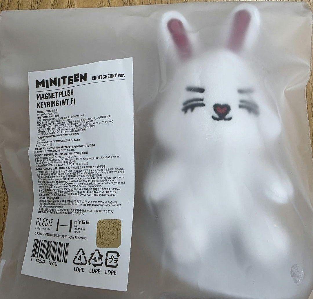 SEVENTEEN miniteen エスクプス マグネット キーリング