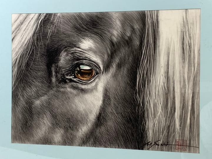 画家 白井真澄 木炭肉筆デッサン画 原画 真筆保証品 額入horse NO.22