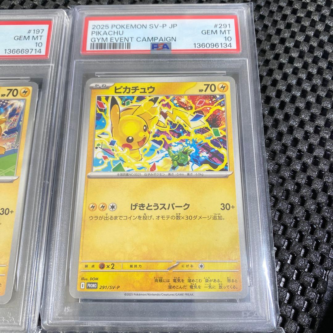 シロナのガブリアスex他…11枚 ポケモンカード(PSA10)まとめ売り 完美品