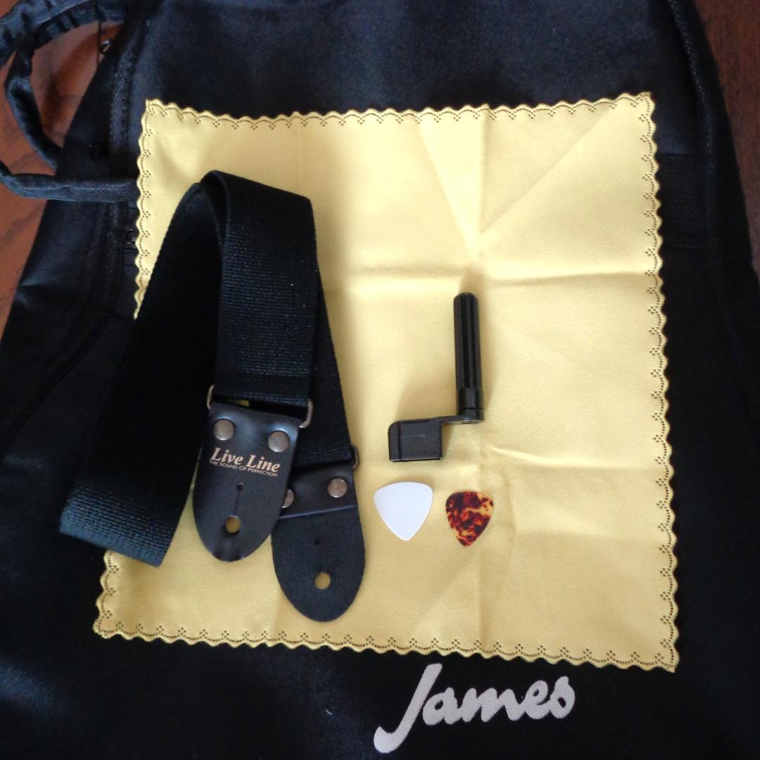 James J-350C EBU　Fishman製ピックアップ　美品！