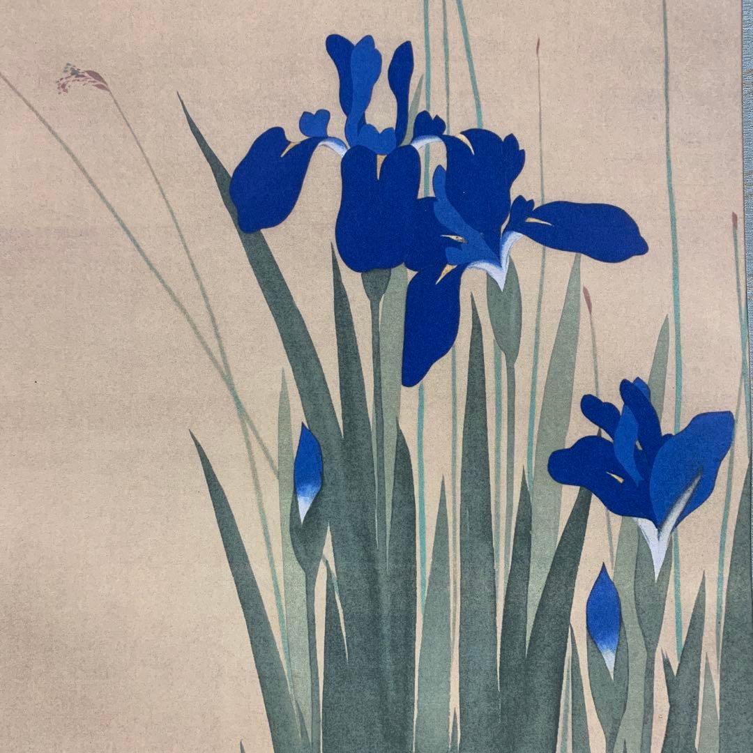 美品 掛け軸 酒井抱一筆 燕子花に水鳥図 十二ヶ月花鳥（五月）解説付き