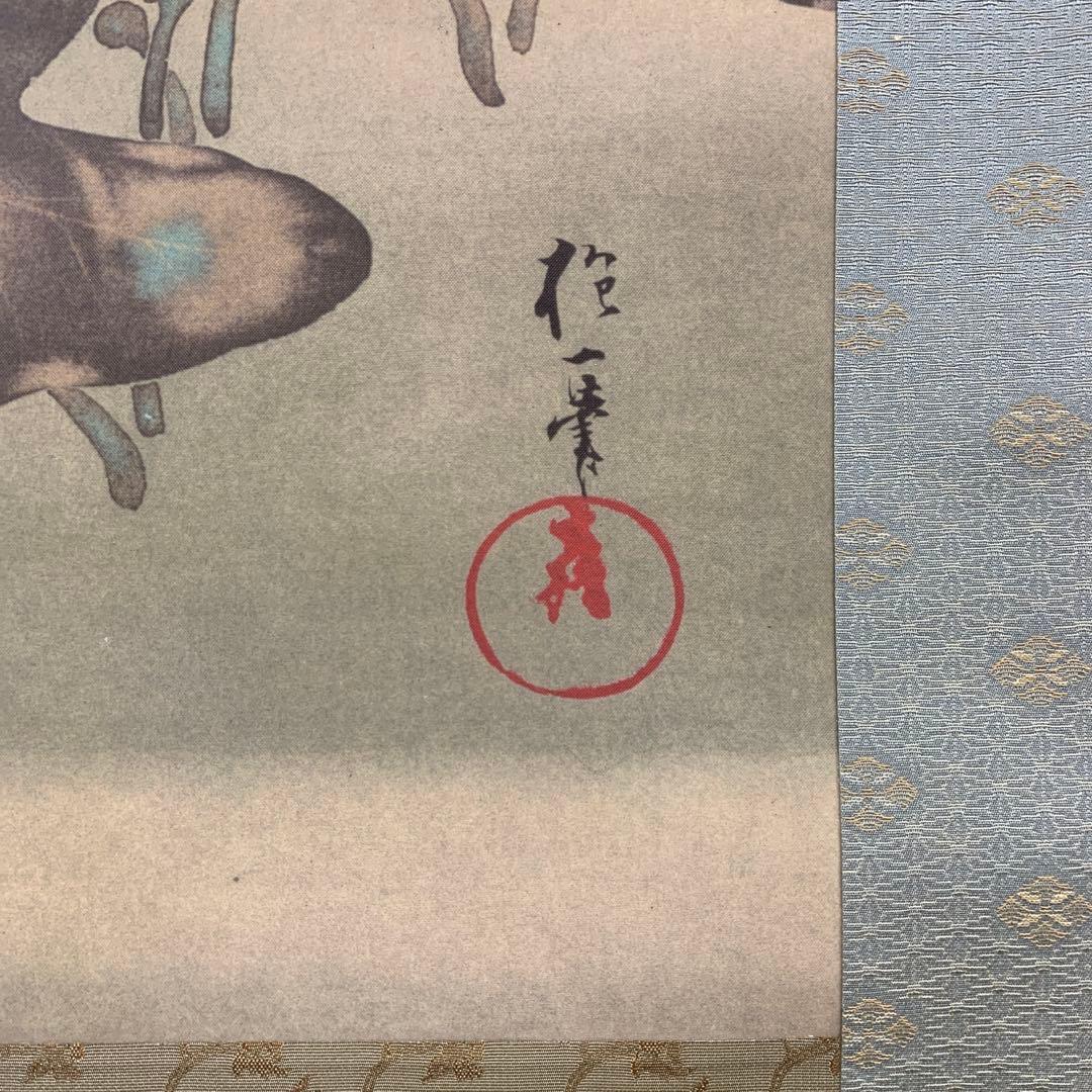 美品 掛け軸 酒井抱一筆 燕子花に水鳥図 十二ヶ月花鳥（五月）解説付き