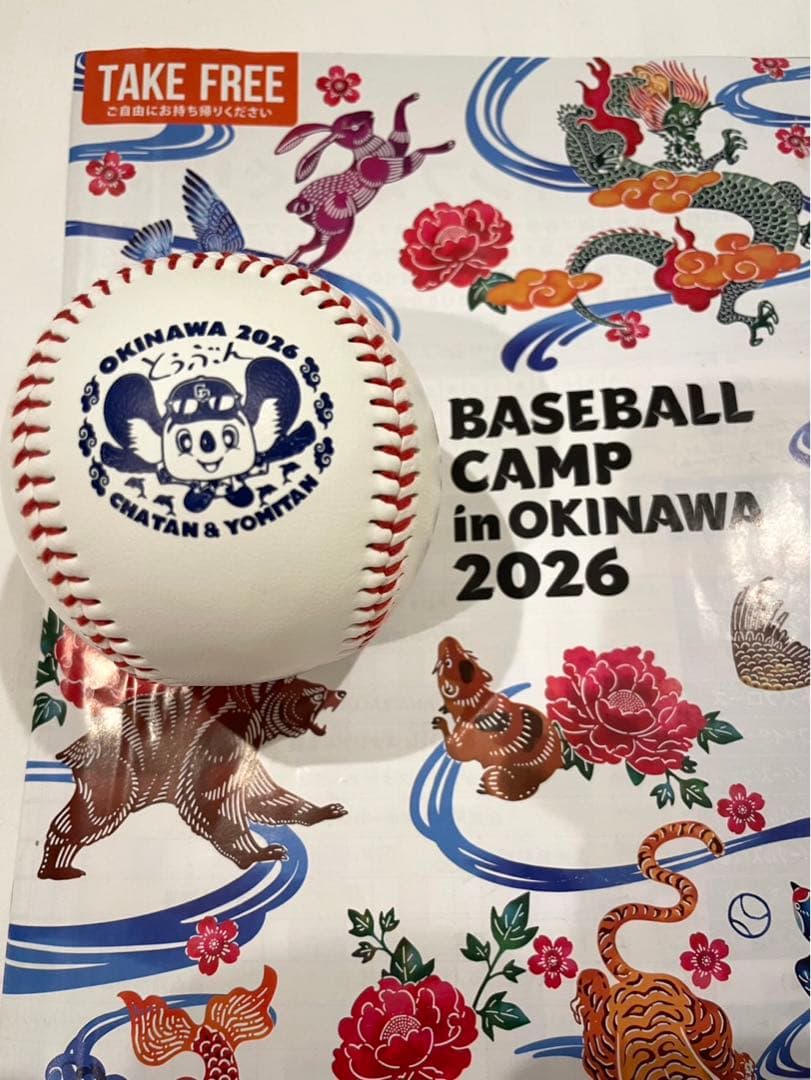 中日ドラゴンズ　涌井秀章　直筆サインボール　2026沖縄キャンプ限定球