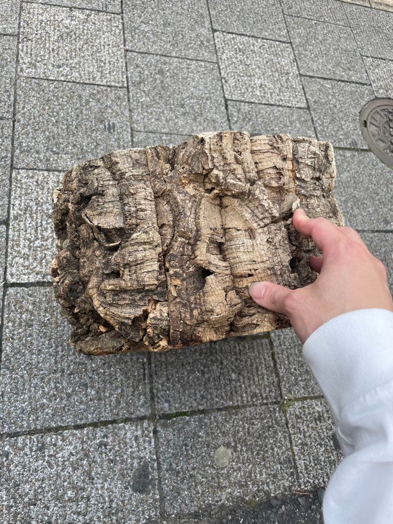 コルク？　コルク板　コルク樹脂