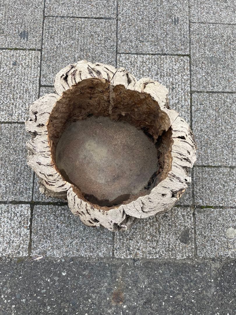 コルク？　コルク板　コルク樹脂