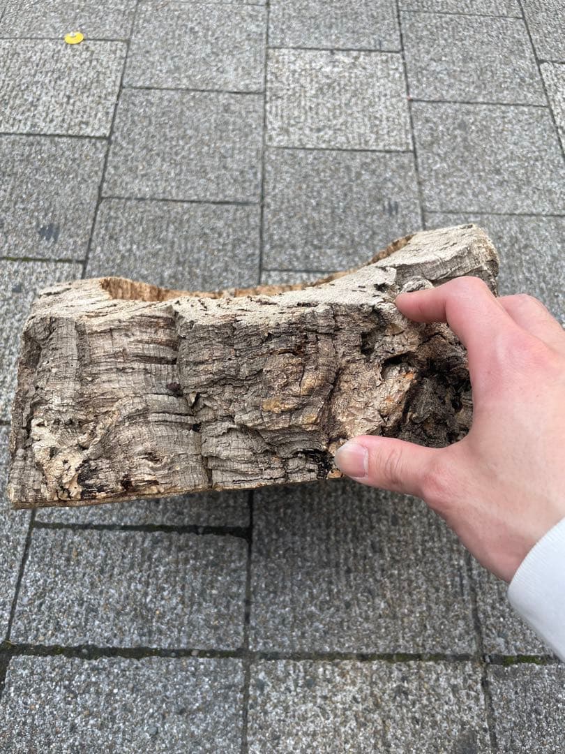 コルク？　コルク板　コルク樹脂