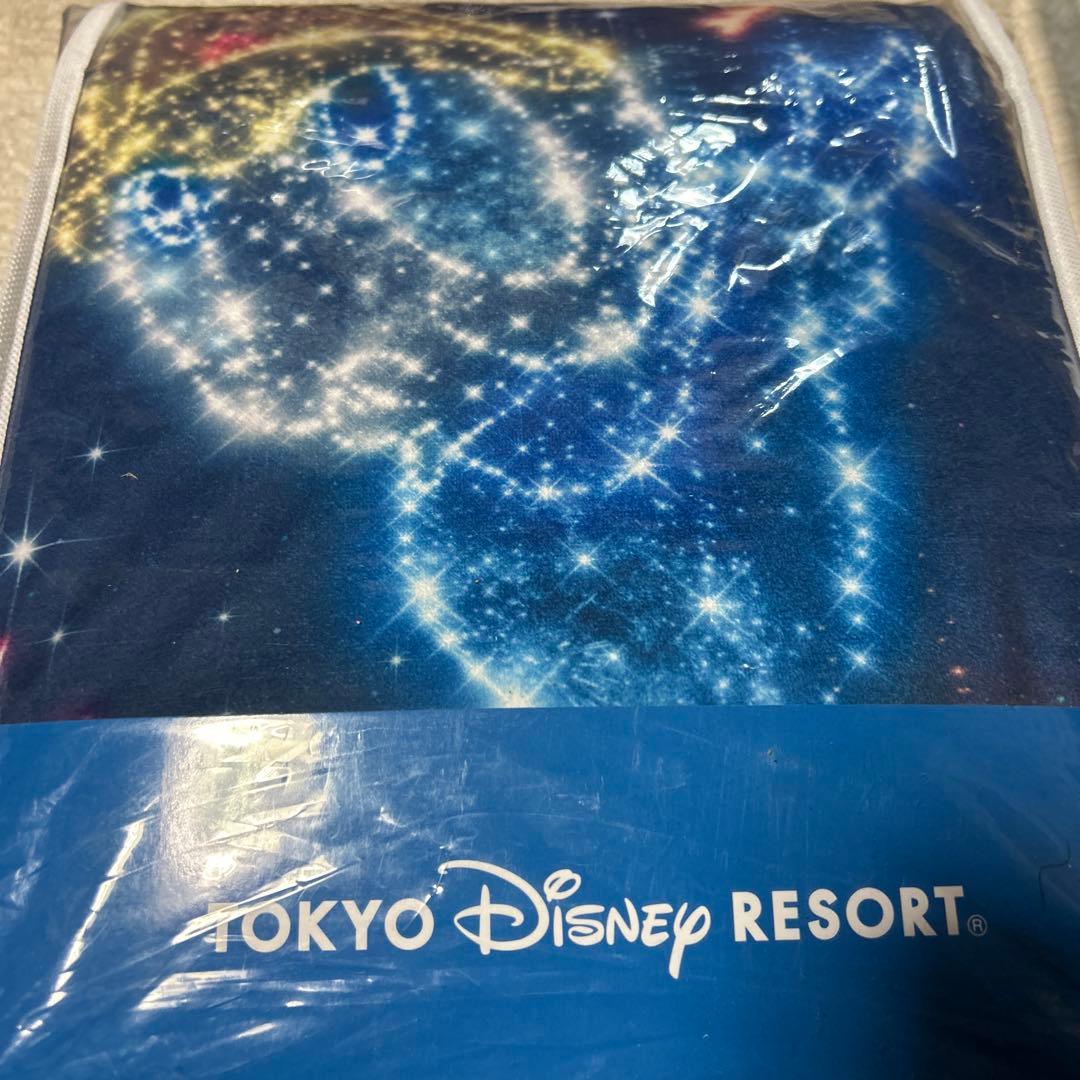 東京ディズニーリゾート 毛布　シンデレラ城　花火