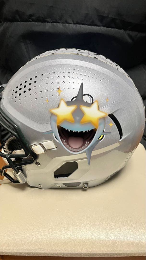 Vicis 02 エリート版Lサイズ￼