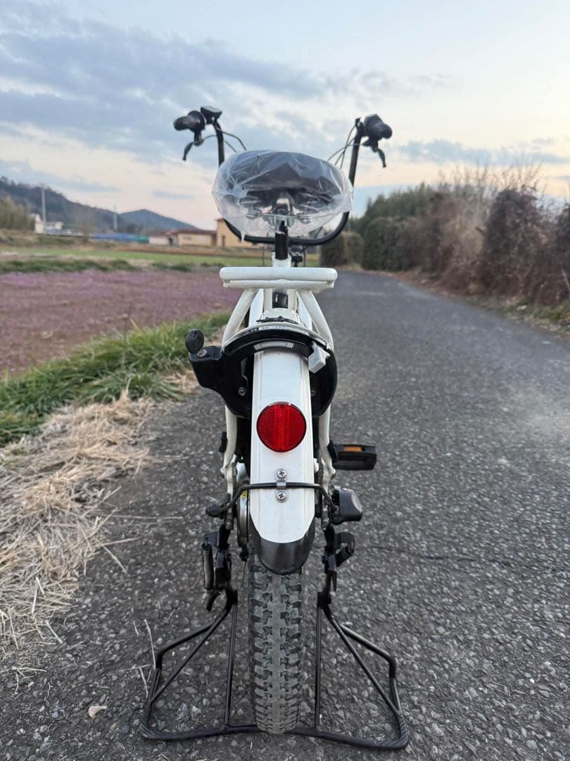 ホワイト 電動アシスト自転車 インチ
