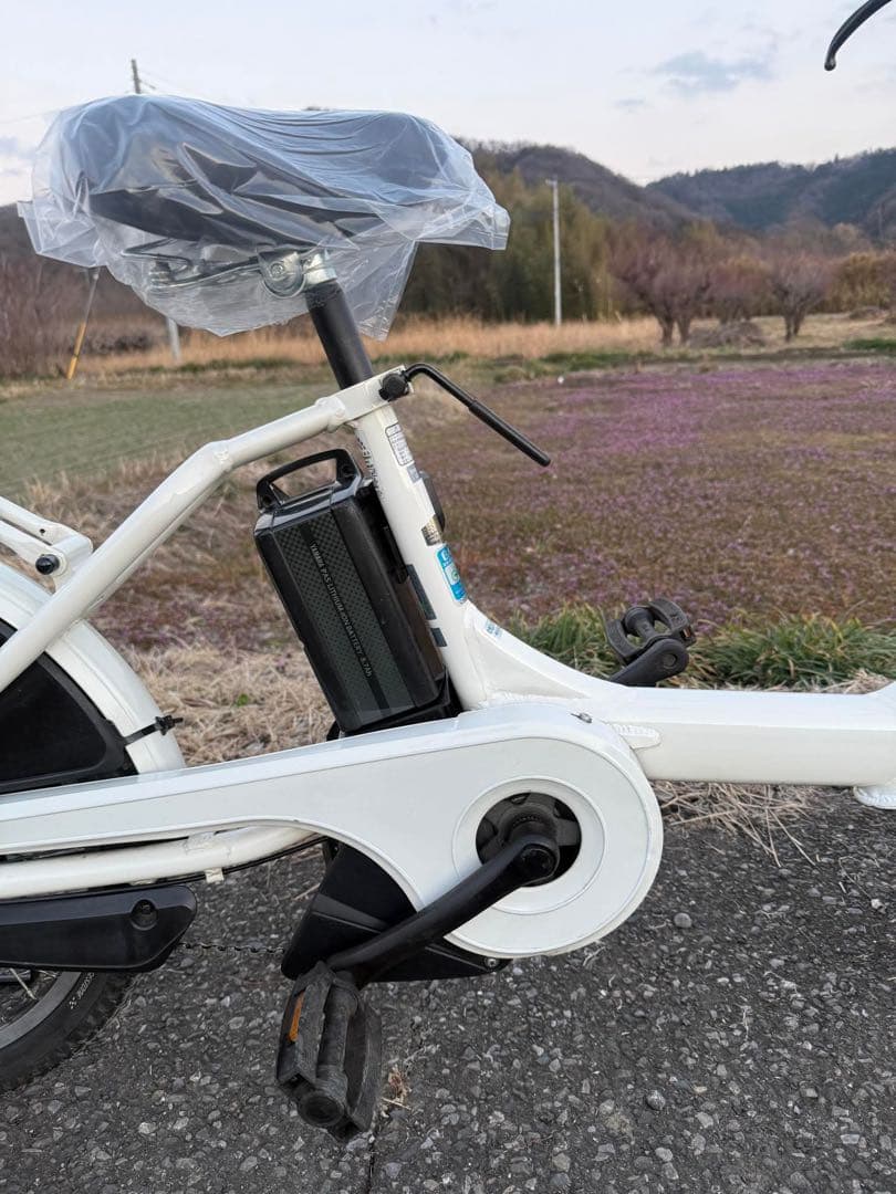ホワイト 電動アシスト自転車 インチ