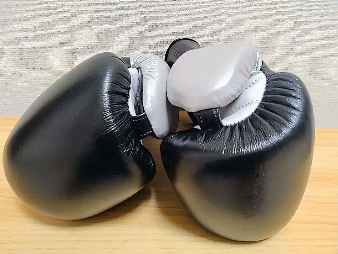 プライズリング ボクシンググローブ 黒 10oz ／ PRIZE RING