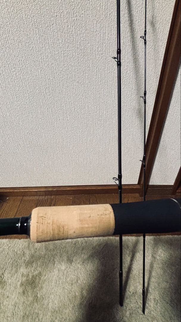 試投のみ美品　Fishman × INX.label ガリンペイロ