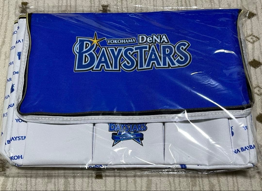 横浜 Denaベイスターズ☆ 保温保冷BIGマルチバッグ＆低反発枕セット