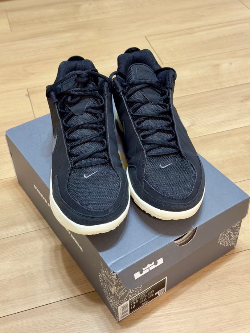 極美品28.5cm NIKE LeBron witness 9