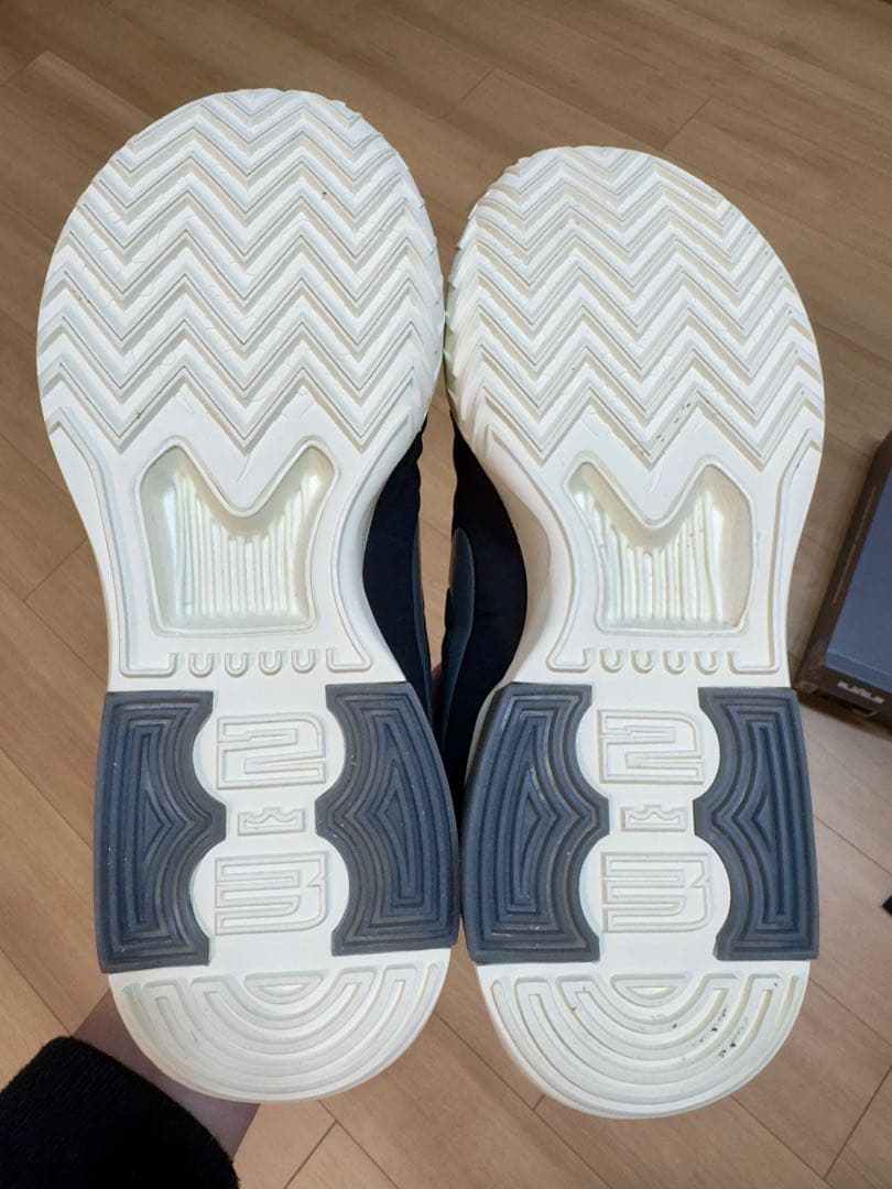 極美品28.5cm NIKE LeBron witness 9