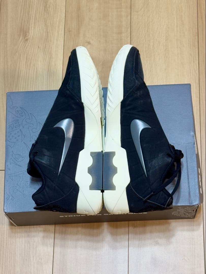 極美品28.5cm NIKE LeBron witness 9
