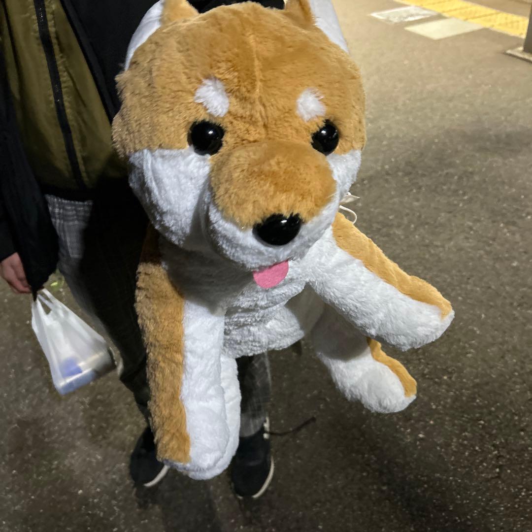 犬のぬいぐるみ 茶色と白 中型
