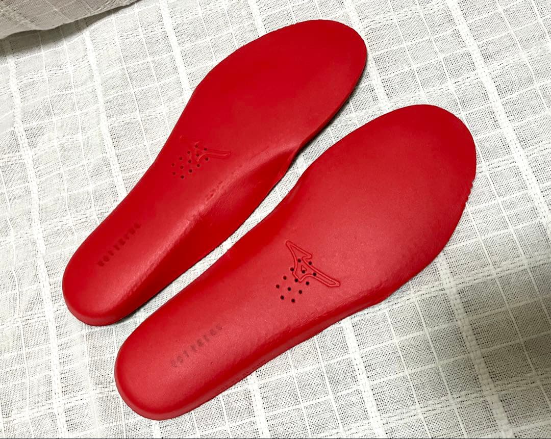 MIZUNO ウェーブファング2 24.0 バドミントンシューズ 使用回数極少
