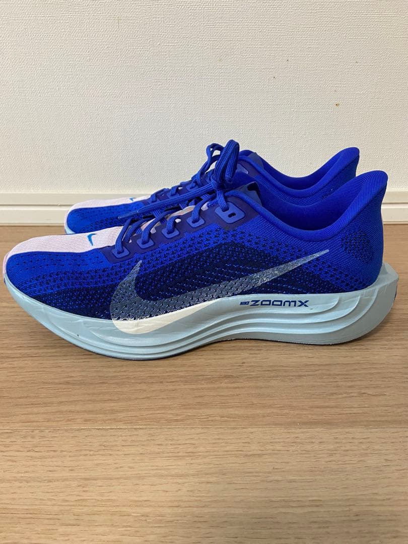 NIKE ナイキ Pegasus plus ペガサスプラス 28㎝