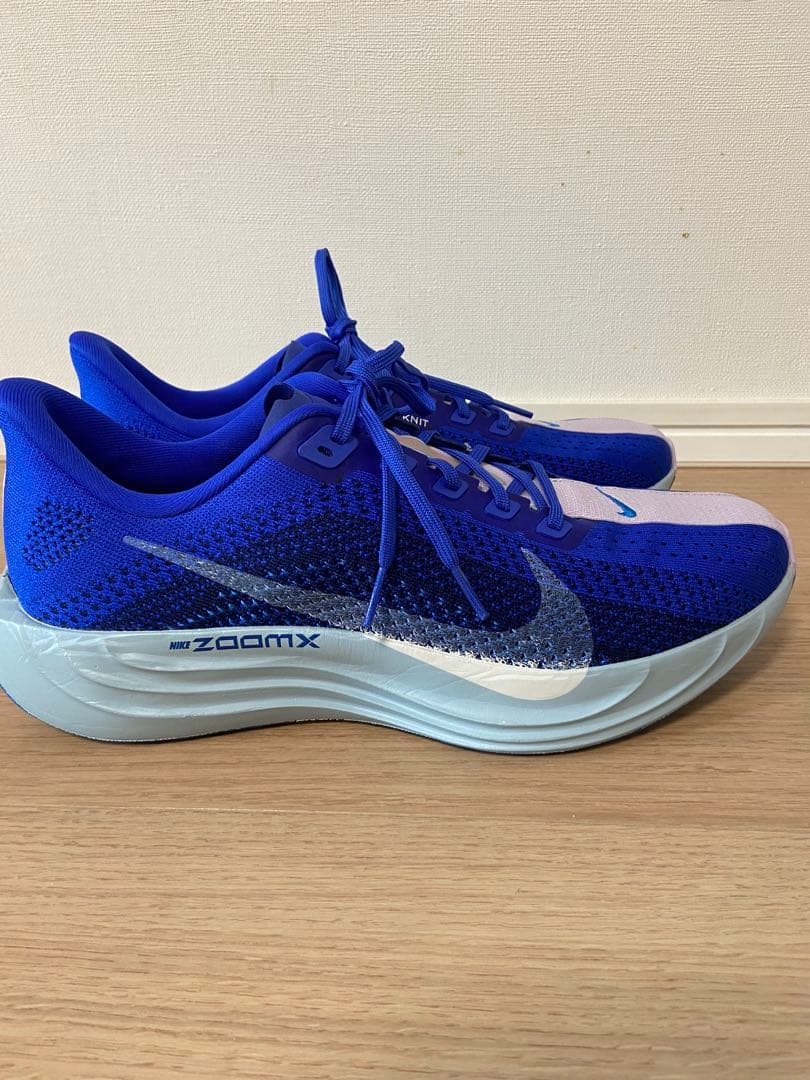 NIKE ナイキ Pegasus plus ペガサスプラス 28㎝